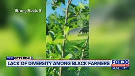 “A return to the land:” More minorities turning to agriculture & farming industries during pandemic