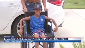‘Pick on someone your own size’: 7-year-old snake bite victim walks again