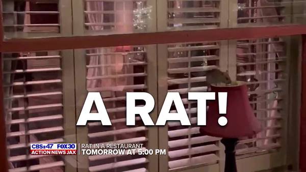 Thursday on Action News Jax: Rat caught on video jumping into local restaurant, so we sent Ben