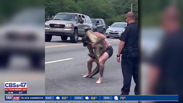 Video: Man wrangles gator on Jacksonville road