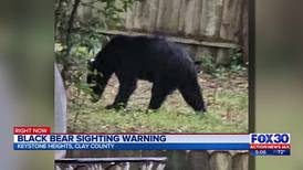 Bear on the lose in Keystone Heights, neighbors on high alert