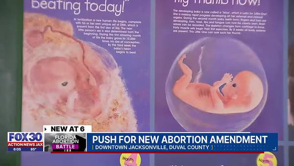 Could Florida lawmakers take up abortion in a special session to undermine Amendment 4?