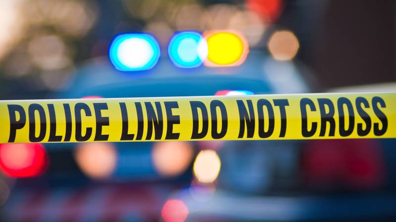 Some workers at a house in Jacksonville, Florida uncovered human remains in the backyard.