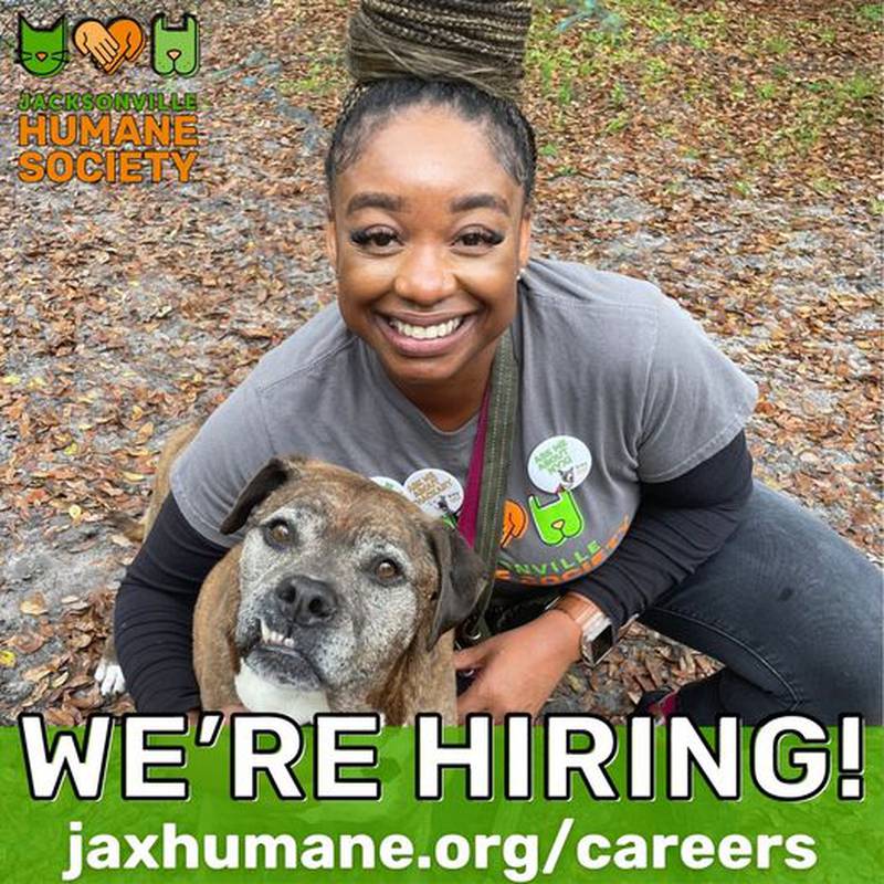 Head to jaxhumane.org/careers to apply for one of several openings at the Jacksonville Humane Society.