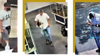 Clay deputies looking for two accused of stealing a puppy from the Orange Park Mall