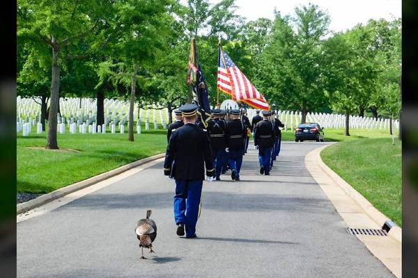 Turkey pays respects to nation’s fallen heroes, walks in processions at Arlington National Cemetery