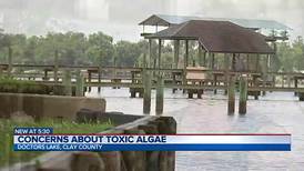 Health officials warn of blue-green algae in Clay County