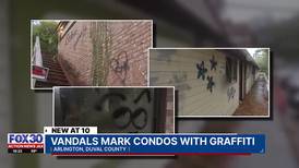  Exclusive: Surveillance video reportedly captures two women vandalizing homes at Teakwood Villas