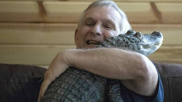 Man says his emotional support alligator, known for its big social media audience, has gone missing