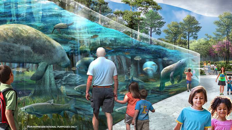 The habitat is a replication of a free-flowing spring fed Florida river to include all species of fish, reptiles, birds along with manatees found in our wild clear rivers.