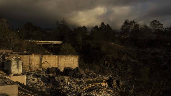 Maui Fire Department to release after-action report on deadly Hawaii wildfires