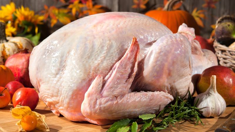 Washing your Thanksgiving turkey could spread germs