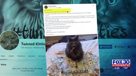 Send Ben: Jacksonville woman’s Facebook kitties meme page held for ransom by hacker, posts porn