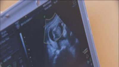 Vice President Kamala Harris returning to Jax as Florida’s 6-week abortion ban goes into effect
