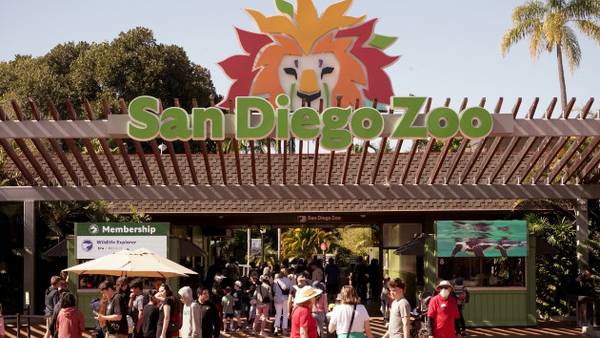 Two giant pandas from China to arrive at San Diego Zoo under conservation partnership